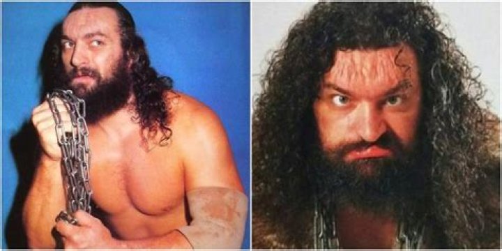 
Bruiser Brody Cause of Death, How did Bruiser Brody Die? 