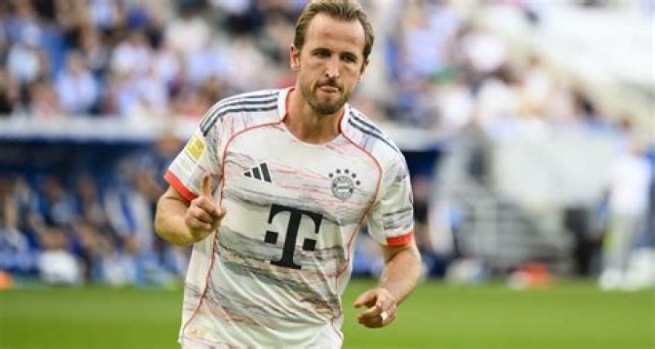 
Greg Bauer Age, Birthday, Wikipedia, Who, Nationality, Biography 